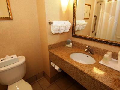 Raleigh Durham Airport By Ihg Hotel 3*